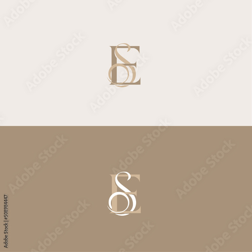 Abstract monogram elegant logo icon vector design. Universal creative premium letters ES initials signature symbol. Vector sign.