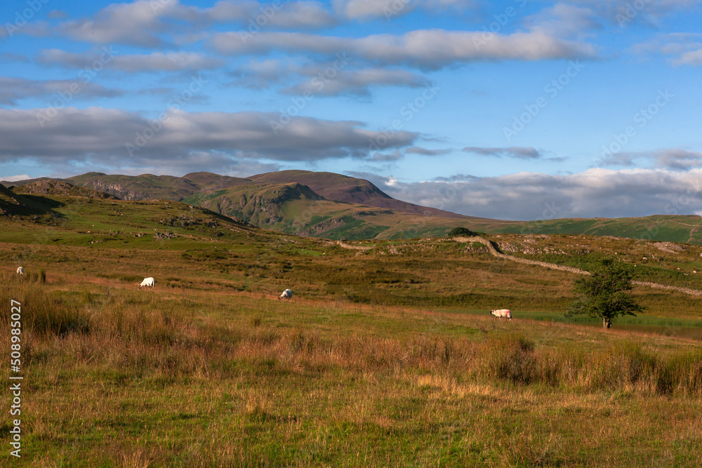 Obraz premium Moorland in St John's-in-the-Vale looking towards Tewet Tarn, and the fells beyond Derwentwater, Lake District, Cumbria, England