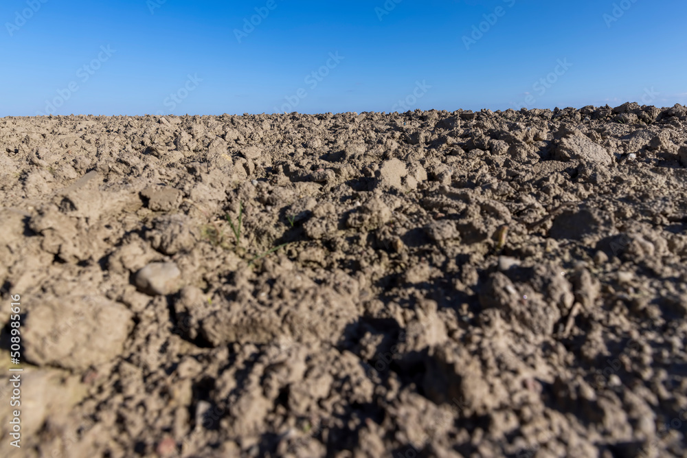soil in an agricultural field that is being prepared to receive a new crop of plants soil in an agricultural field that is being prepared to receive a new crop of plants