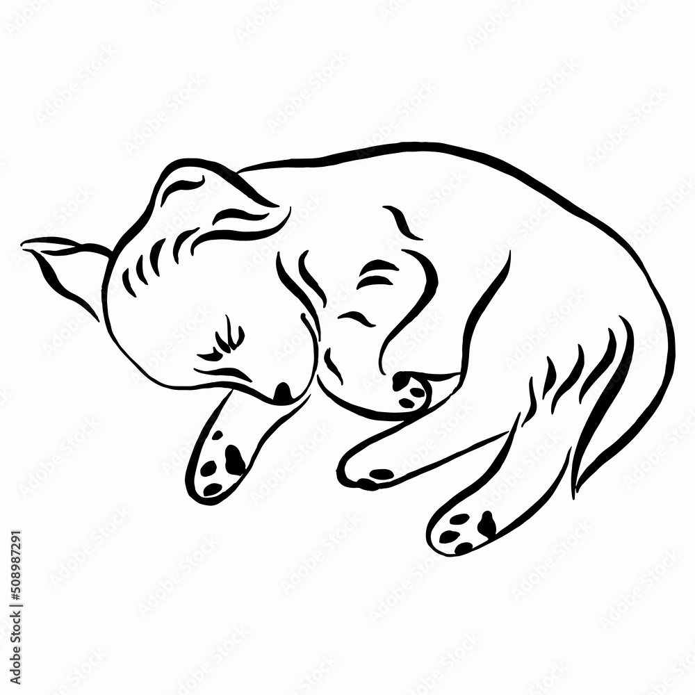 Fototapeta premium Small dog sleeping. Cute Labrador puppy lying. Hand drawn doodle vector illustration. Linear drawing. Small dog sleeping. Cute Labrador puppy lying. Hand drawn doodle vector illustration. 