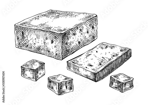 Tofu drawings set. Hand-sketched vegan food illustration. Asian food ingredients. Tofu sketch for packaging, menu, recipe, product design. Japan cuisine meal in vintage style