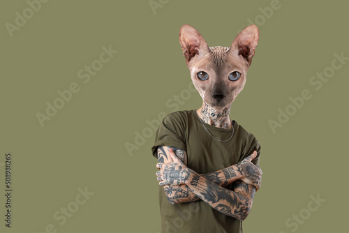 Fotografija Cool Sphynx cat with tattooed human body on color background