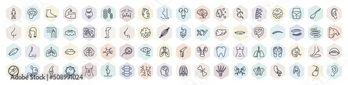 set of human body parts web icons in outline style. thin line icons such as standing human body, human foot, heart, two spermatozoon, skin cells, eyebrow, fertilization, foot side view, brain inside