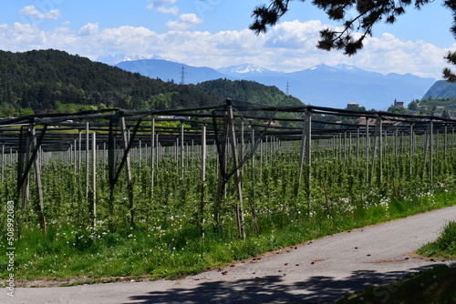 Beautiful landscape with view to the village Prissian in Southtyrol  photo