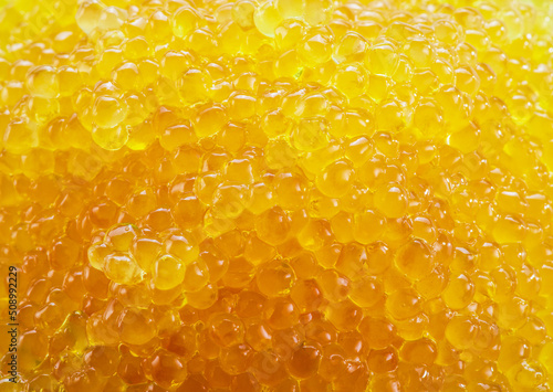 Pike caviar or roe close up picture. Food background.