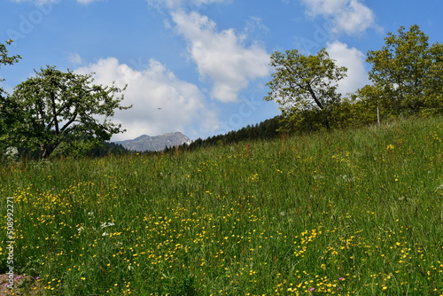 Beautiful landscape in Southtyrol  photo