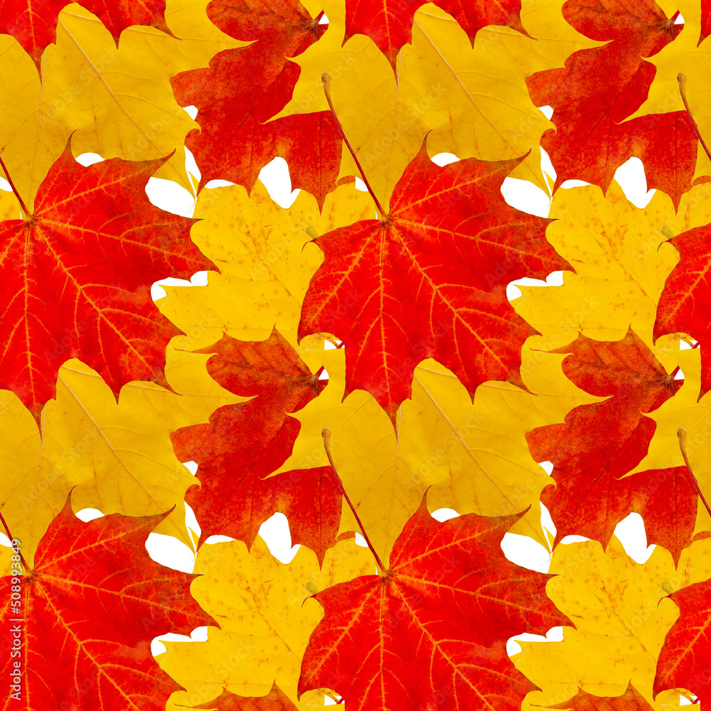 Fototapeta premium Bright pattern from maple leaves. Cheerful seamless texture of fallen red-yellow maple leaves.