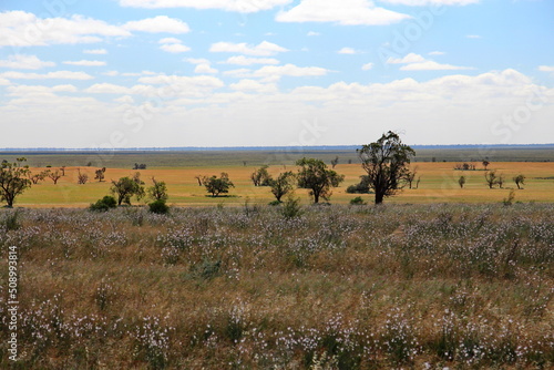 Countryside in Victoria  Australia