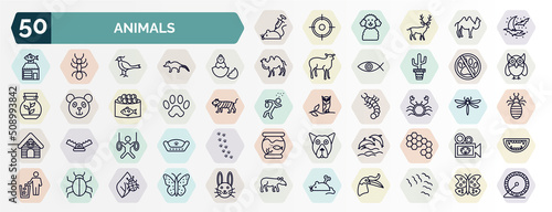 set of animals web icons in outline style. thin line icons such as animal testing, moon and bats, baby chicken, no dogs, paw, crab, trapeze artists, dolphins, app bug, mouse toy icon.