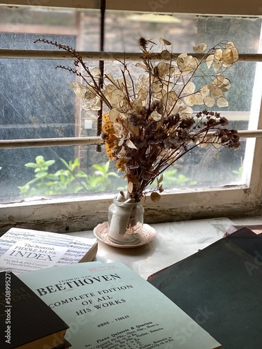 Dried flowers in the window musical score