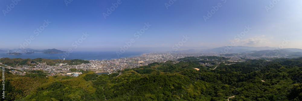 Fototapeta premium 近見山展望台付近から見た今治市街（愛媛県今治市）
