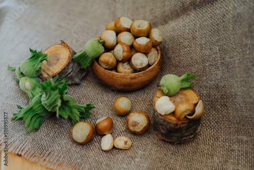 Hazelnuts in the peel and shell. Garden hazelnuts on burlap and in a wooden bowl. Hazelnut fruits in a green bell-shaped plume formed from two fused bract leaves.