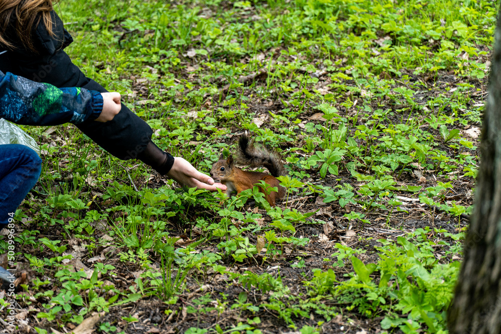 Obraz premium person working in garden