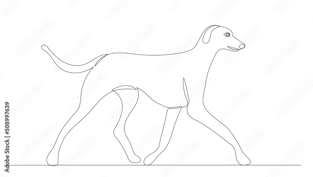 Fototapeta premium dog drawing by one continuous line, sketch, vector