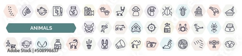 set of animals icons in outline style. thin line icons such as pawprints, documentary, app bug, japanese cat head, fish shop, walking dog, wing, boho, animal testing icon.