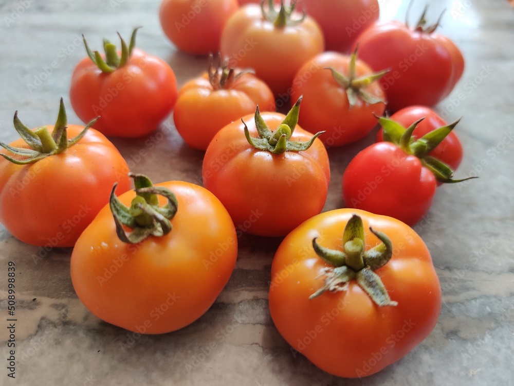 tomatoes tomatoes
