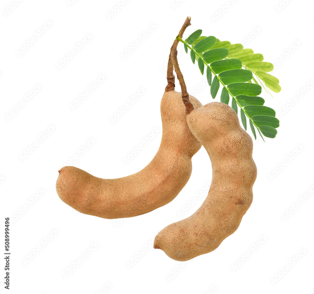 Fototapeta premium Sweet tamarind fruits with green leaves isolated on white background.
