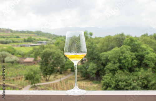 A glass of white orange wine on natural background in Sicily. Italian wine grape variety. Sicilia, Etna, Italy.