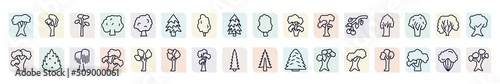 set of nature icons in outline style. thin line icons such as white oak tree, pitch pine tree, balsam fir tree, black locust american chestnut eastern redcedar bitternut hickory shagbark hickory photo