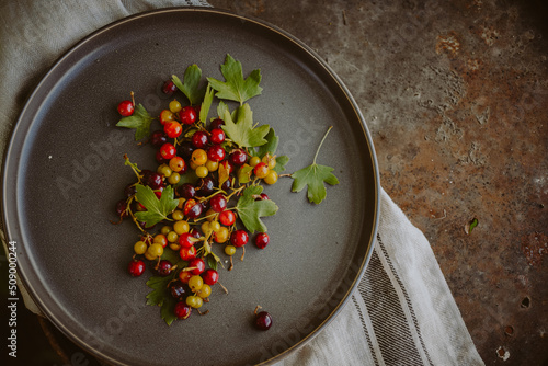 Fresh, ripe multi-colored wild berries with leaves on a platter in sunlight. Lifestyle