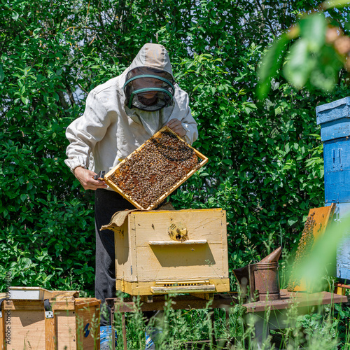 The beekeeper performs work in the apiary. Beekeeping concept. The beekeeper works with honey frames.