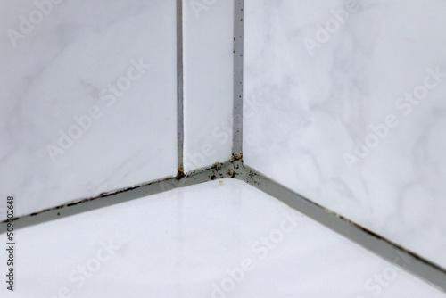 Mould in a bathroom