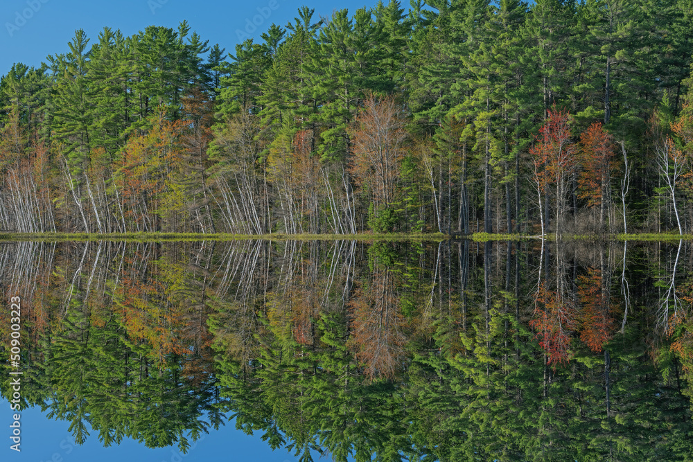 Spring landscape of the shoreline of Big Twin Lake with mirrored reflections in calm water, Hiawatha National Forest, Michigan’s Upper Peninsula, USA Spring landscape of the shoreline of Big Twin Lake with mirrored reflections in calm water, Hiawatha National Forest, Michigan’s Upper Peninsula, USA