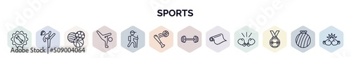 set of sports web icons in outline style. thin line icons such as equipment, taekwondo, balls, capoeira, trekking, home run, gym weight, foil, weight lifting medal icon.