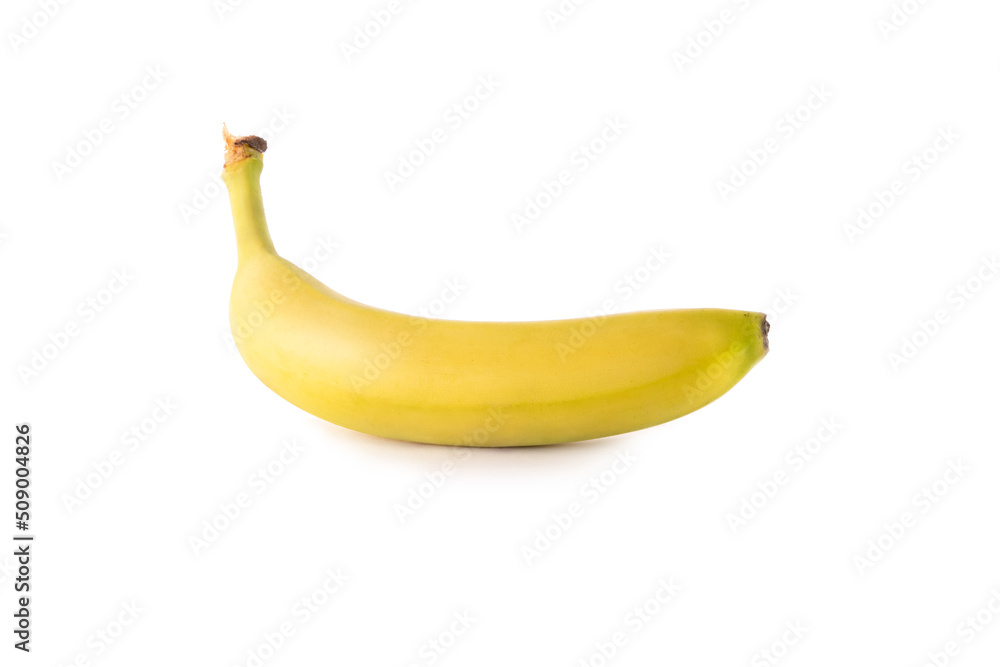 Obraz premium Dojrzały banan Cavendish odmiana na koktajl bananowy