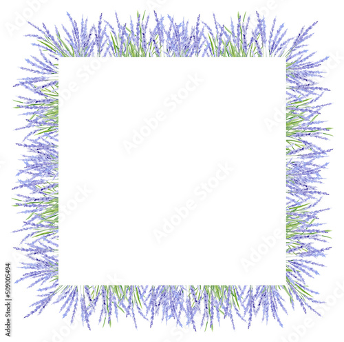 Watercolor hand drawn beautiful frame with lavender flowers
