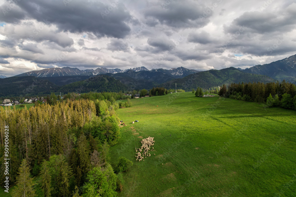 Aerial landscape. View of the Tatra Mountains. A beautiful sunny day. Zakopane, Poland 