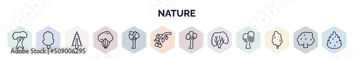 set of nature web icons in outline style. thin line icons such as white oak tree, sassafras tree, american larch tree, shadbush american elm black cherry pin cherry american hornbeam tulip