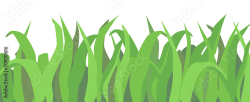 Grass border, line. Isolated vector on white background