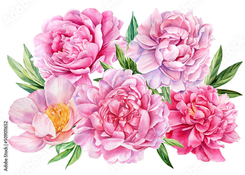 Samolepka Bouquet of Pink flowers, peonies on white isolated background watercolor illustr