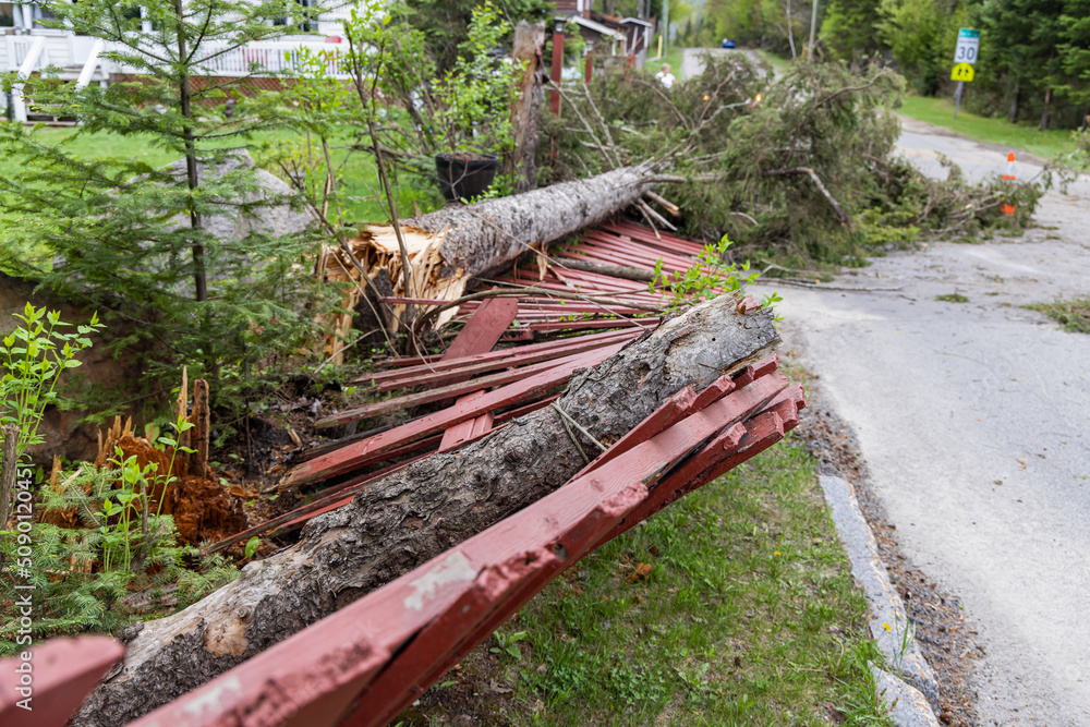 Damage in rural Canadian village after severe storm with danger to life warning damages property, downs trees and destroys fences. With copy space.