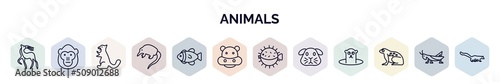 set of animals web icons in outline style. thin line icons such as gazelle, orangutan, sable, desman, clownfish, hippo, puffer, guinea pig, tropical frop icon. photo