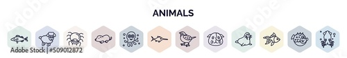 set of animals web icons in outline style. thin line icons such as zander, male sheep, spider, mole, octopus, swordfish, sparrow, guinea pig heag, goldfish icon.