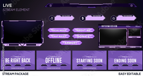 Obraz na plátne neon purple stream gaming facecam, overlay, alert, panal, screen full Package De