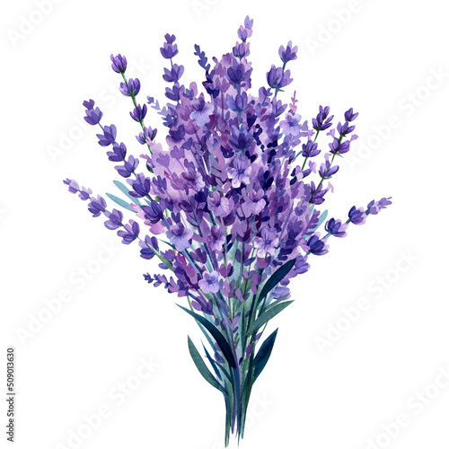 Bouquet of lavender  purple flowers on isolated white background  watercolor illustration