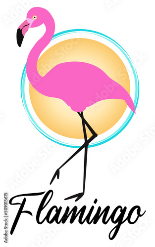 Flamingo paradise design concept vector illustration © juliedeshaies