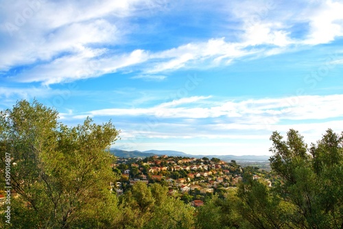 landscape with trees and sea Mediterranean 