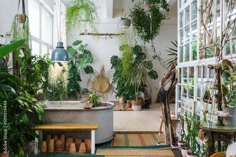 Home garden in retro style. Scandinavian interior design of winter indoor garden with houseplants. Old house orangery with potted tropic flowers, monstera, ceramic pots in boho. Greenhouse concept