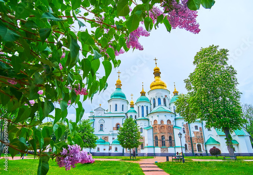 Blooming lilac and chestnut trees in park of St Sophia Cathedral, Kyiv, Ukraine photo