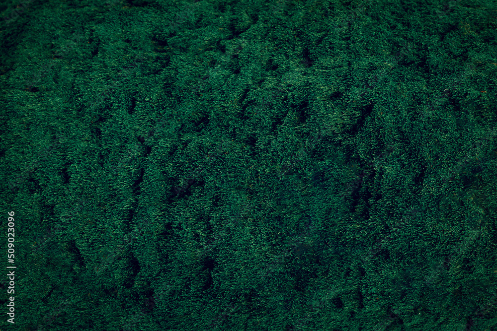 Obraz premium Natural abstract modern green background