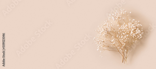 Dry natural grass, leaves and flowers beauty and fashion concept mock up