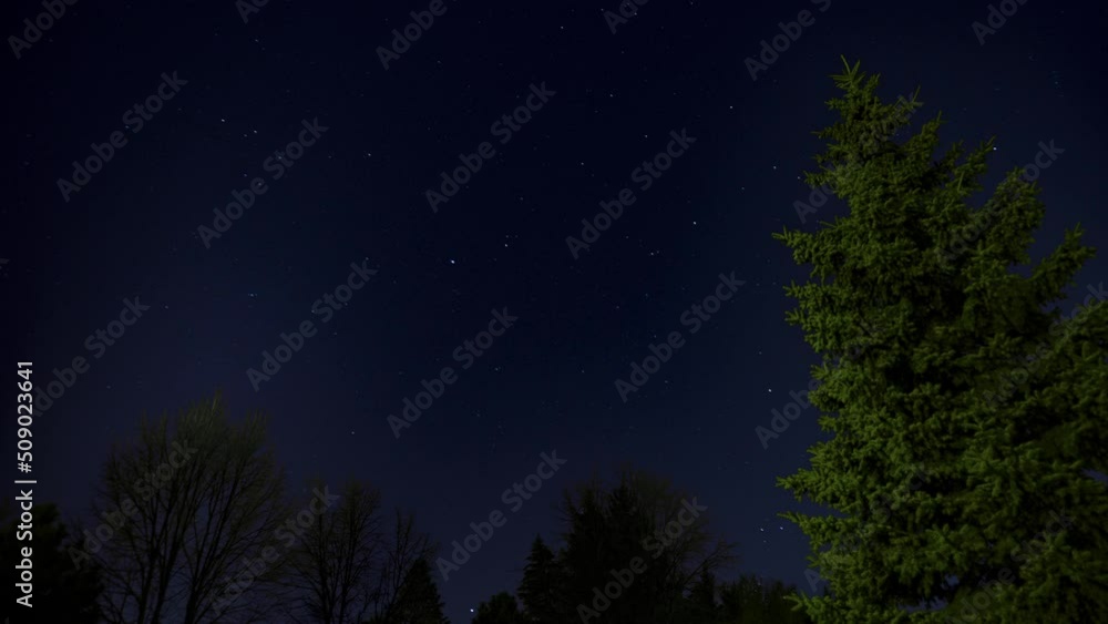 time-lapse of the starry sky and spruce time-lapse of the starry sky and spruce