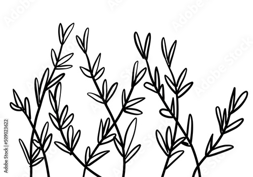 Fototapeta Naklejka Na Ścianę i Meble -  Abstract flower in one line art drawing style. Black line sketch on white background