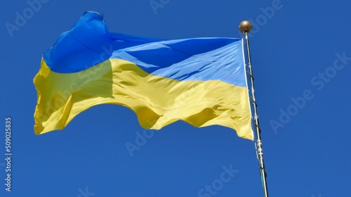 Wallpaper Mural Ukrainian Flag fluttering in strong wind Torontodigital.ca
