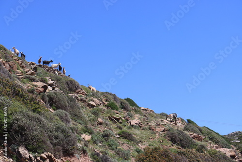 landscape with mountains photo