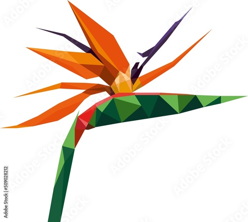 Bird of paradise flower plant in low poly polygon design. Vector logo illustration photo